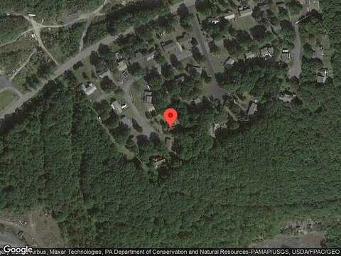 Chestnut, MOUNT CARMEL, PA 17851