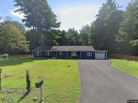 Forest, WOODSTOCK, NY 12498