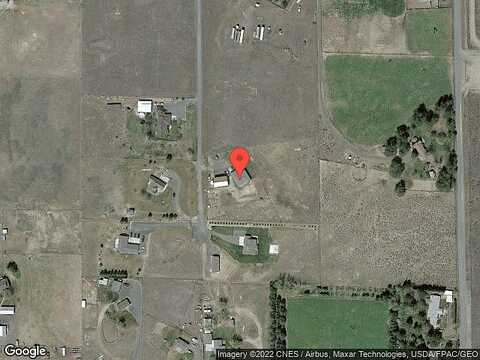 Bison, SELAH, WA 98942