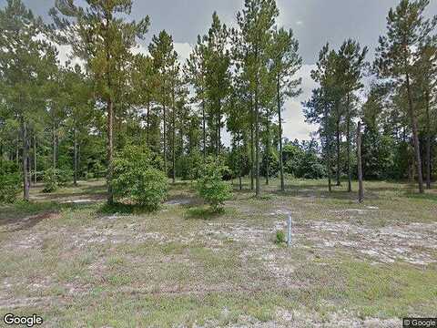 Blackwater, SPRINGFIELD, GA 31329