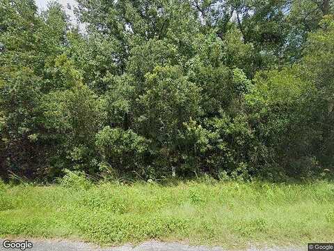 Boykin Ridge, BRUNSWICK, GA 31523