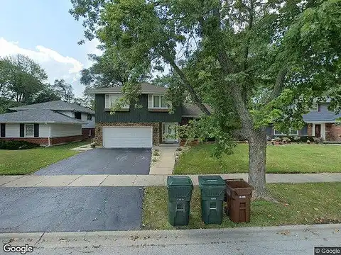 Larkspur, HOMEWOOD, IL 60430