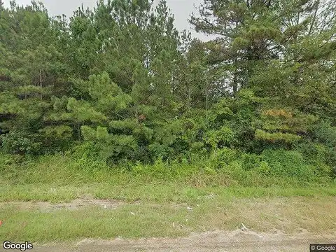 Highway 21, FOREST, MS 39074