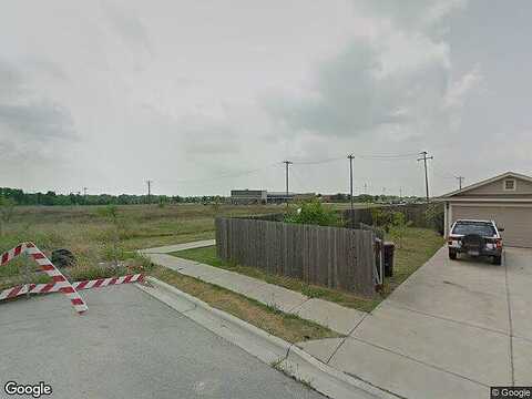 Dead Pan, MANOR, TX 78653