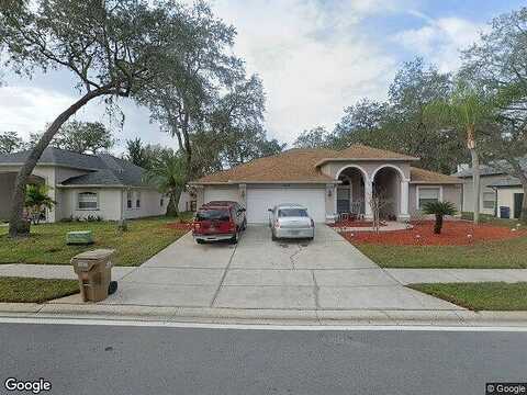 Kinsmere, TRINITY, FL 34655