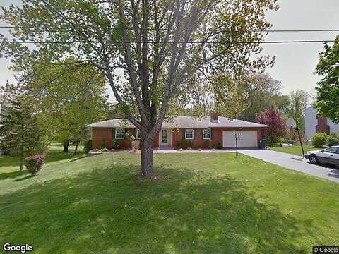 Lainey, KINGSTON, NY 12401