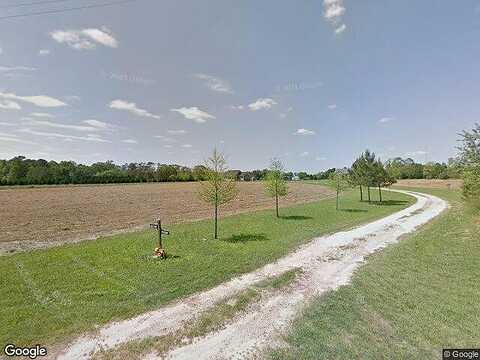 Pine Forest, OCHLOCKNEE, GA 31773