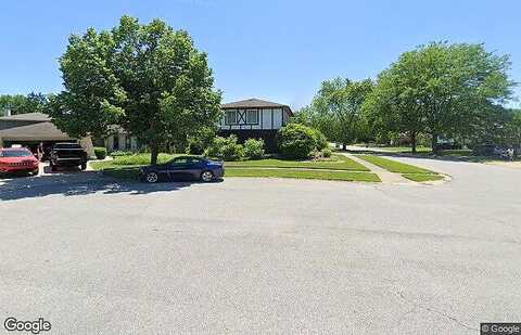 Chestnut, MUNSTER, IN 46321
