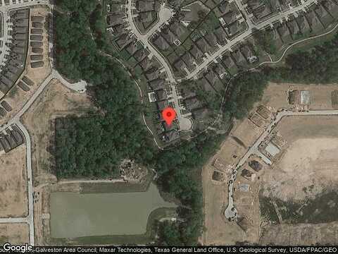 Yellow Chestnut, NEW CANEY, TX 77357