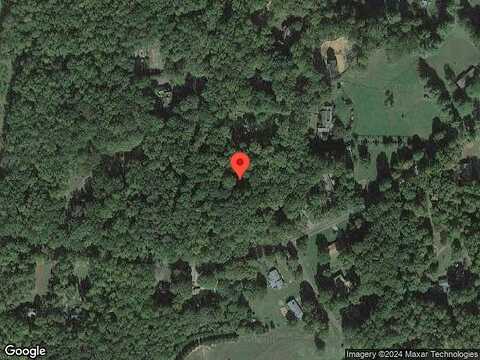 White Pine, CULPEPER, VA 22701