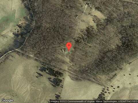 Black Walnut, PEARISBURG, VA 24134