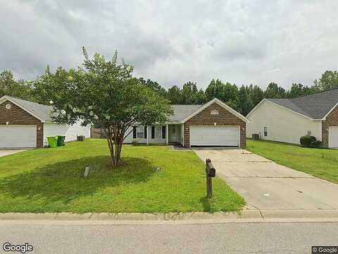 Alexander Pointe, HOPKINS, SC 29061