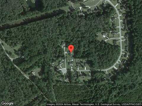 Sweet Gum, GUYTON, GA 31312