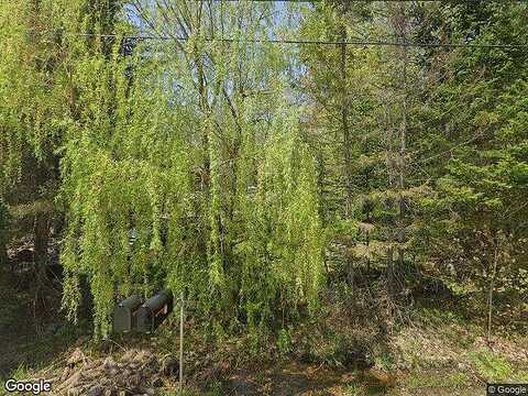 Birch, CHELSEA, ME 04330