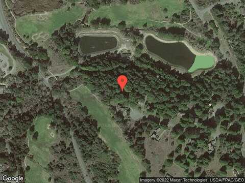 Screech Owl, THE SEA RANCH, CA 95497