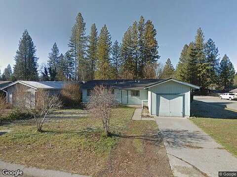 Sugar Pine, BURNEY, CA 96013