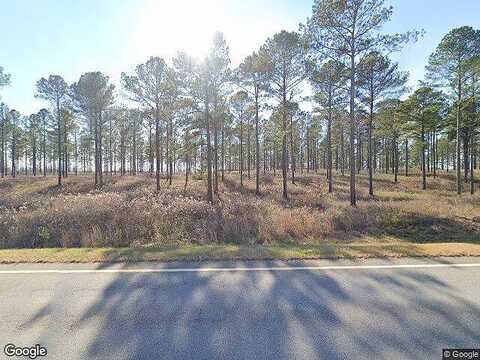 Ga Highway 30, BUENA VISTA, GA 31803