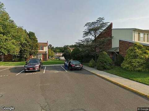 Hyacinth, QUAKERTOWN, PA 18951