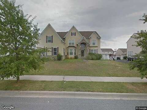 Snow Goose, MIDDLETOWN, DE 19709