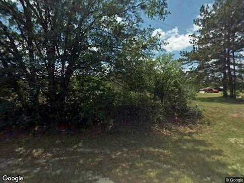 Dixie Barwick Rd, DIXIE, GA 31629