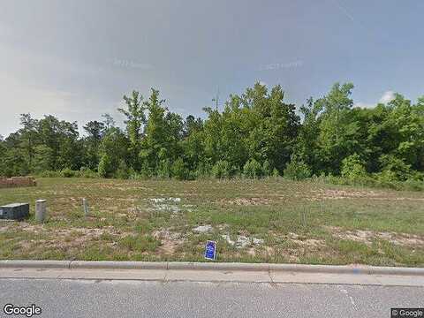 Autumn Ridge, AUBURN, AL 36879