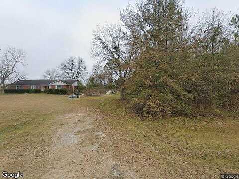 Pineview Pitts, PINEVIEW, GA 31071