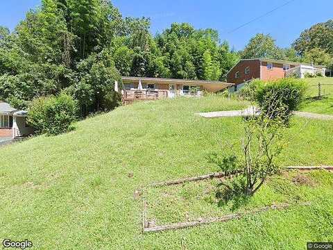 Maple, COLLINSVILLE, VA 24078