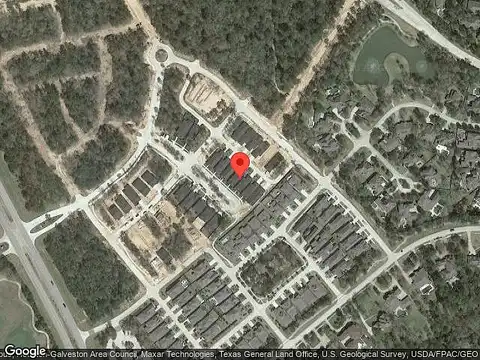 Thistle, MONTGOMERY, TX 77316