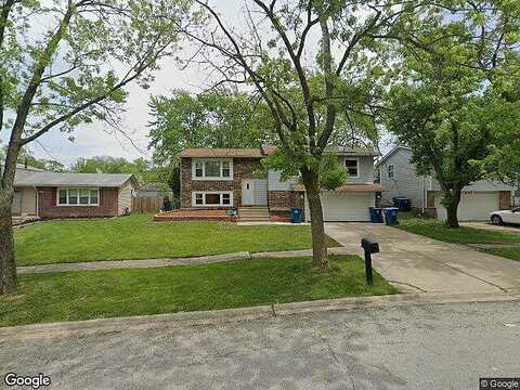 Jeffrey, SAUK VILLAGE, IL 60411