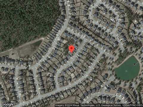 Drooping Leaf, LEXINGTON, SC 29072