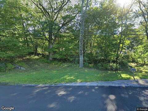 Sycamore, HYDE PARK, NY 12538