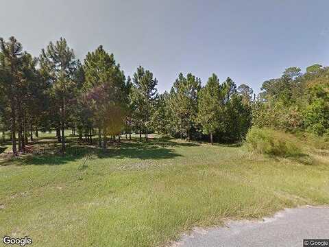 Golden Rod, ADEL, GA 31620