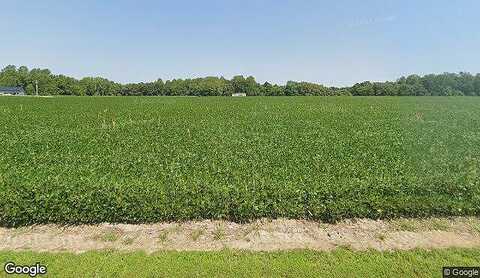 Maracossic, BOWLING GREEN, VA 22427