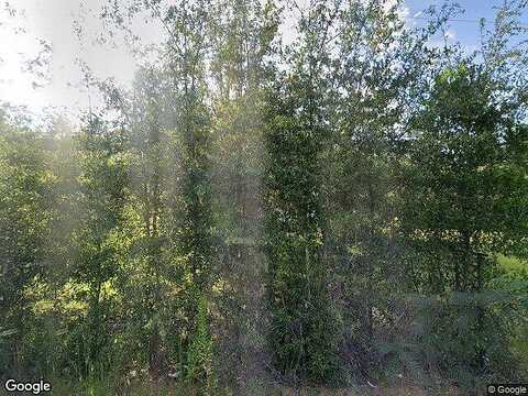 Berrien, JESUP, GA 31545