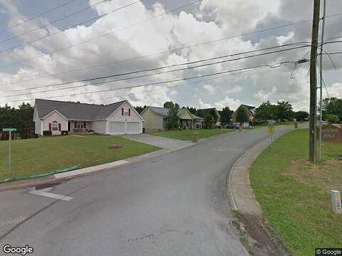 Chestnut Ridge, RINGGOLD, GA 30736