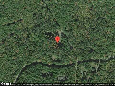 Mountain Laurel, GLEN SPEY, NY 12737