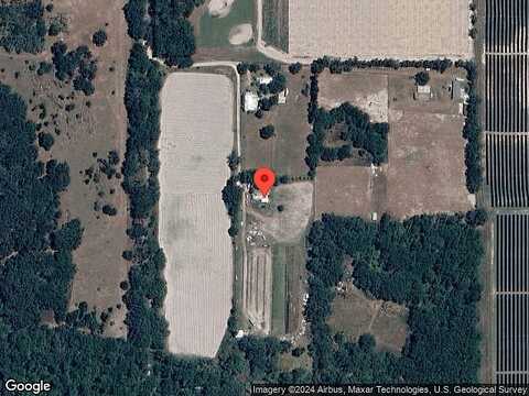 Rising Sun, PLANT CITY, FL 33567