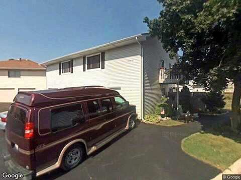 Aster, CREST HILL, IL 60403