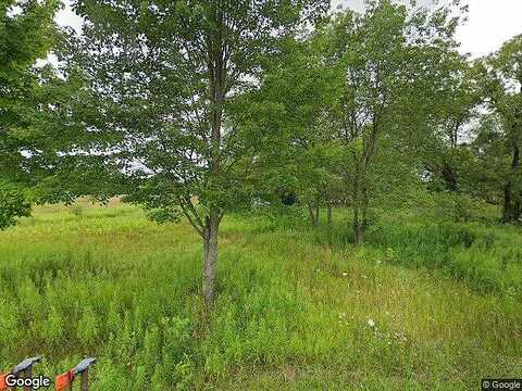 220Th, PARIS, MI 49338