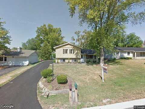 Irene, PALATINE, IL 60074