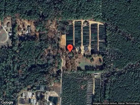 Cecelia, FOREST HILL, LA 71430