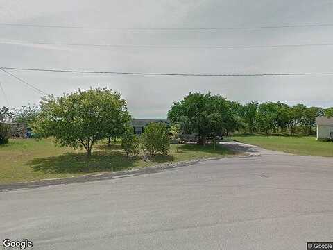 Ligustrum, SAN MARCOS, TX 78666