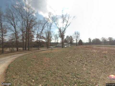 Bassett Hound, HILLSBORO, TN 37342