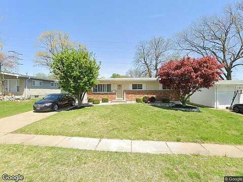 Dove, FLORISSANT, MO 63031