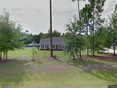 Palomino, GUYTON, GA 31312