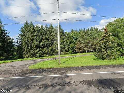 Sweet, JAMESVILLE, NY 13078