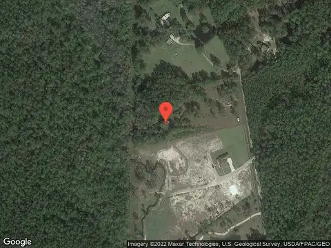 Pine Cone, ABITA SPRINGS, LA 70420