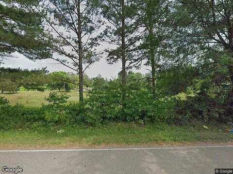 Buena Vista, BETHEL SPRINGS, TN 38315