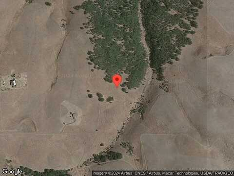 Blacktail, LYLE, WA 98635