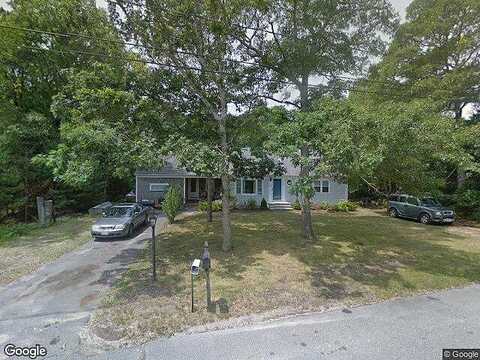 Dogwood, COTUIT, MA 02635